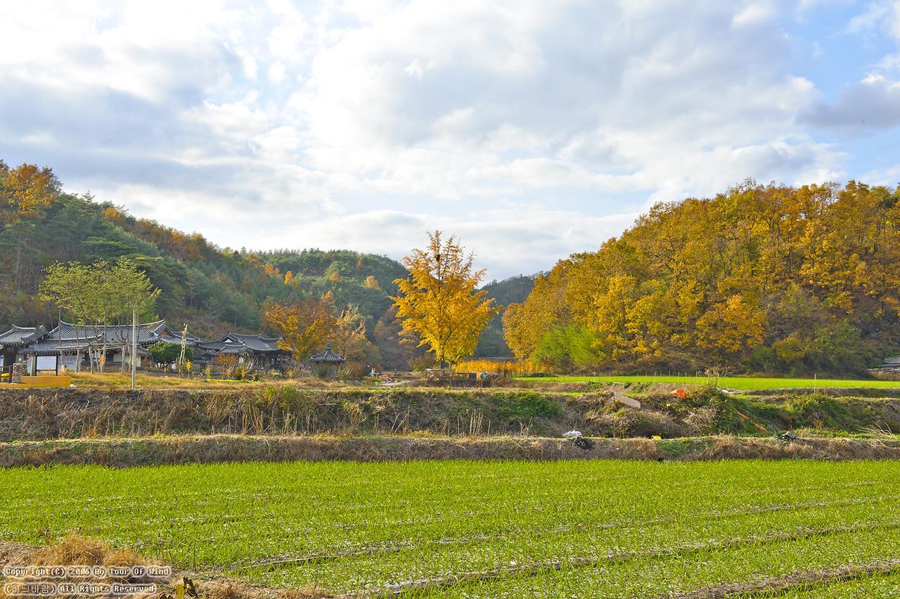Gwiae Traditional House 영천 외부 사진